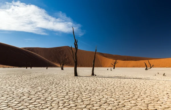 Sossusvlei deadvlei Namibya