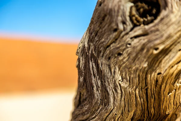 Sossusvlei deadvlei Namibya