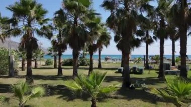 İnsansız hava aracının palmiyeler ve zakkumlar arasındaki manzarası denizdeki çalılar, kıyı şeridi ve Girit adasındaki kumsal..