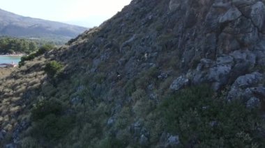 Keçi sürüsü dik dağ yamacında yürür..