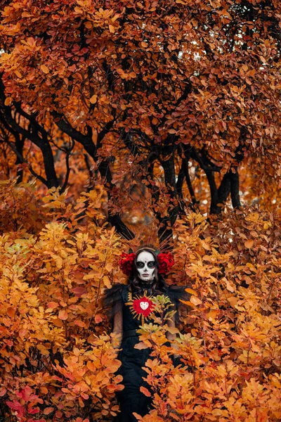 Santa Muerte Nin Sonbahar Ormanlarının Arka Planında Olduğu Gibi Siyah — Stok fotoğraf
