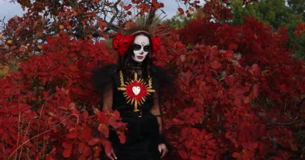 年轻女子身穿死亡的黑色服装 头戴糖衣 头戴红玫瑰 站在秋天森林的背景下走着 死亡日或万圣节的概念 — 图库视频影像