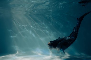 Deniz kızı kuyruklu güzel bir kadın güneş ışığında derin sularda yüzüyor ve dalıyor..