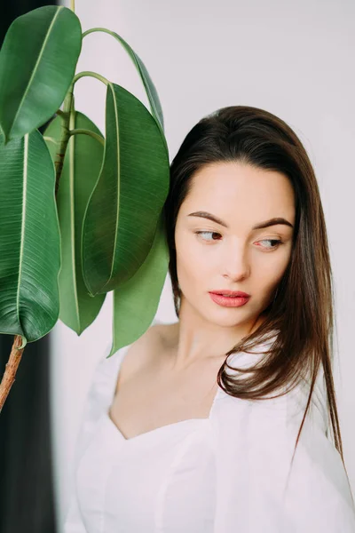 Portret Młodej Brunetki Obok Ficus Houseplant — Zdjęcie stockowe