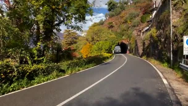 Camera Înainte Mișcarea Drum Spre Tunel Lungul Lacului Como Copaci — Videoclip de stoc