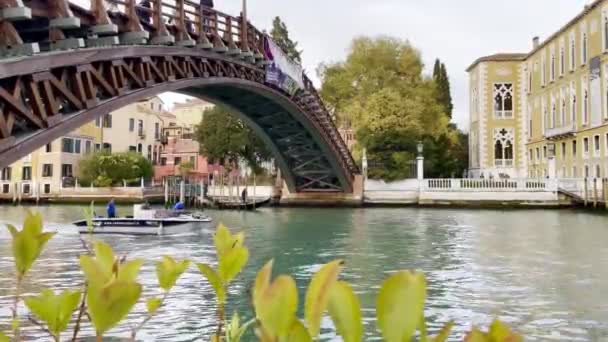 Venedik Teki Grand Canal Köprüsünün Altından Geçen Sürat Teknesine Bakın — Stok video