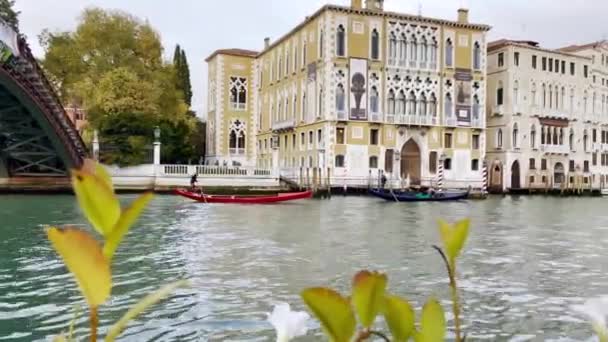 Vista Para Gôndolas Que Passam Grande Canal Veneza Contra Bela — Vídeo de Stock