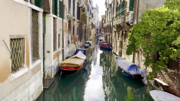 Narrow Canal Venice Street Buildings Parked Gondolas Houses — стоковое видео