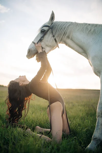 Mulher Bonita Sorrindo Em Frente Ao Cavalo No Pôr Do Sol Imagem de