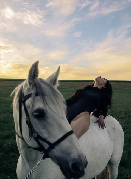 Young dreamy woman in bodysuit sits horseback on white horse on meadow at sunset.