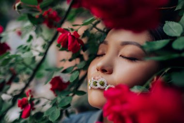 Kapalı gözleri ve papatya çiçekleri olan Asyalı genç bir kadının portresi bahçede kırmızı bir gül açarak eğleniyor. Boşluğu kopyala.