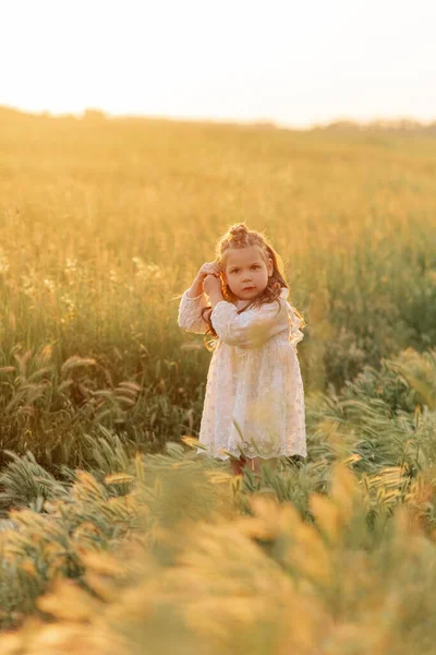 Niña Pequeña Camina Vestido Blanco Entre Prados Atardecer — Foto de Stock