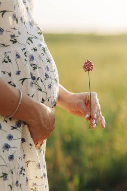 Hamile kadın elinde çiçekle çayırda giyinmiş duruyor. Karnına yakın çekim yap..