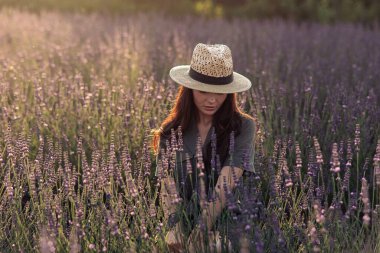 Şapkalı genç kadın oturur ve lavanta tarlasında dinlenir. Gün batımında çiçek açarak eğlenir..
