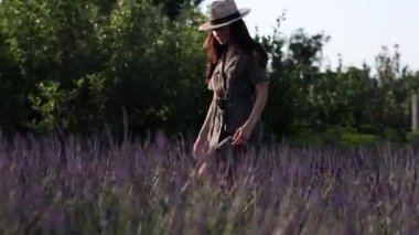 Şapkalı genç bir kadın uçan arılarla lavanta tarlasında yürüyor ve rüzgârda sallanıyor ve çiçeklerle eğleniyor..