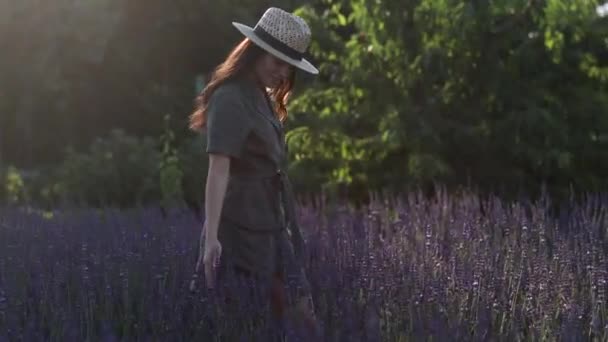 Young Woman Hat Walks Lavender Field Flying Bees Swaying Wind — Vídeos de Stock