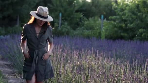 Young Woman Hat Walks Lavender Field Flying Bees Swaying Wind — Vídeos de Stock
