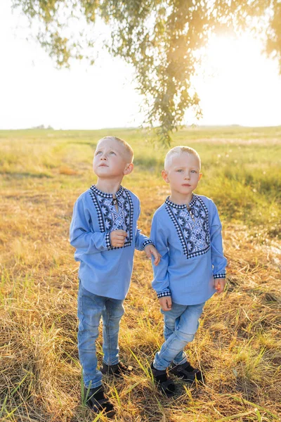 Two twins brothers walk on meadow. They are dressed in Ukrainian national embroidered shirts.