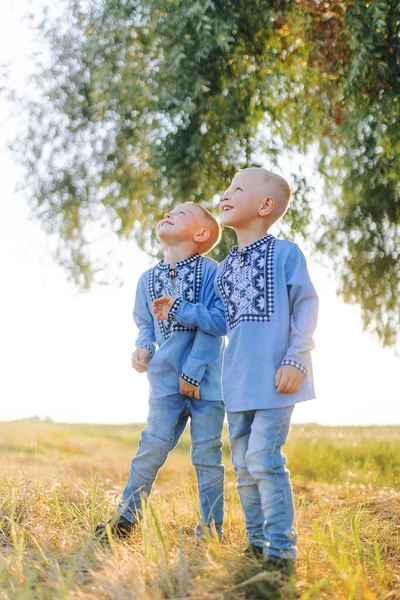 Happy two twins brothers have fun and play on meadow . They are dressed in Ukrainian national embroidered shirts.