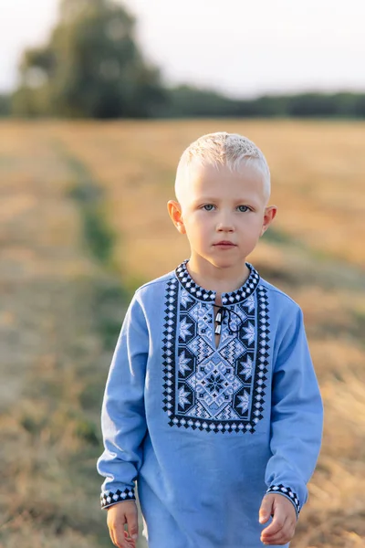 Portrait Blond Ukrainian Child Boy Meadow Walk Dressed Ukrainian National — Fotografia de Stock