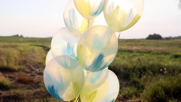 Grupa Żółtych Niebieskich Balonów Kołysze Się Tle Nieba Łąki Zbliżenie — Wideo stockowe