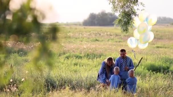 Mutlu Ebeveynler Çayırda Iki Ikiz Oğullarıyla Oynuyorlar Ellerinde Hava Balonları — Stok video