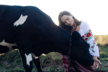 Young Ukrainian woman sits and touches calf dressed in traditional national embroidered shirt and skirt on pasture. Ethnic ukrainian national clothes style, embroidered shirt. Rural scene.