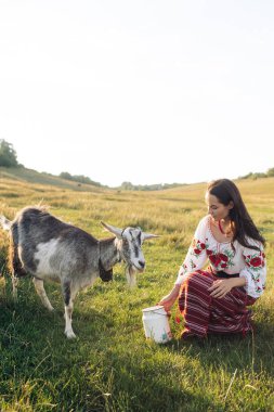 Young Ukrainian woman waters the goat from water can in traditional national embroidered shirt and skirt on pasture at sunset. Ethnic ukrainian national clothes style, embroidered shirt. Rural scene.
