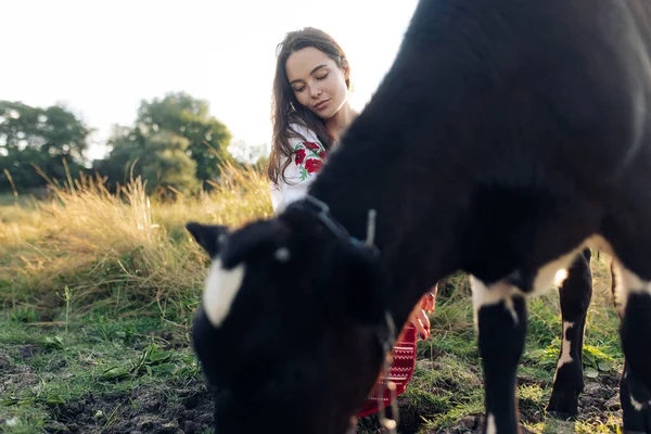 Young Ukrainian Woman Sits Grazing Cow Traditional National Embroidered Shirt — 스톡 사진