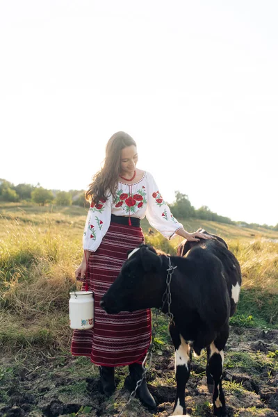 Young Ukrainian woman stands near calf with water can dressed in traditional national embroidered shirt and skirt on pasture. Ethnic ukrainian national clothes style, embroidered shirt. Rural scene.