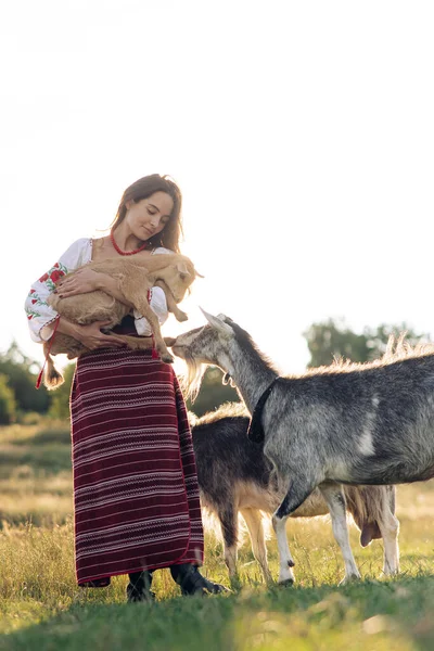 Young Ukrainian Woman Holds Goatling Her Arms Traditional National Embroidered — Fotografia de Stock