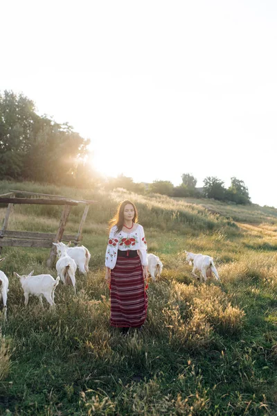 Young Ukrainian Woman Grazes Goats Traditional National Embroidered Shirt Skirt — Fotografia de Stock