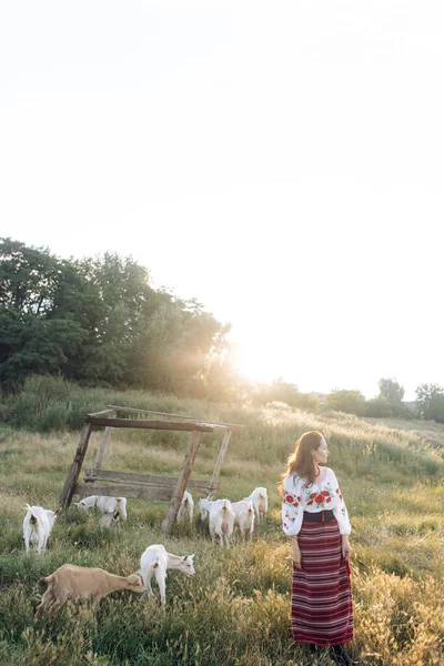 Young Ukrainian Woman Grazes Goats Traditional National Embroidered Shirt Skirt — Photo