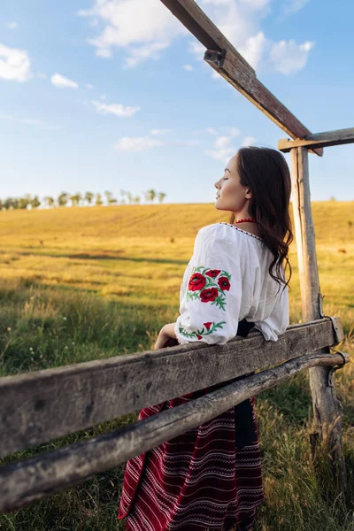 Young Ukrainian Woman Stands Traditional National Embroidered Shirt Skirt Wooden — Fotografia de Stock