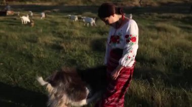 Young Ukrainian woman in traditional national embroidered shirt and skirt touches the goat on pasture at sunset. Ethnic ukrainian national clothes style, embroidered shirt. Rural scene.