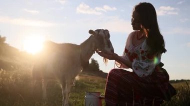 Young Ukrainian woman in traditional national embroidered shirt and skirt strokes with hand goat on pasture at sunset. Ethnic ukrainian national clothes style, embroidered shirt. Rural scene.