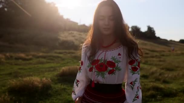 Young Ukrainian Woman Walking Traditional National Embroidered Shirt Skirt Meadow — Vídeos de Stock