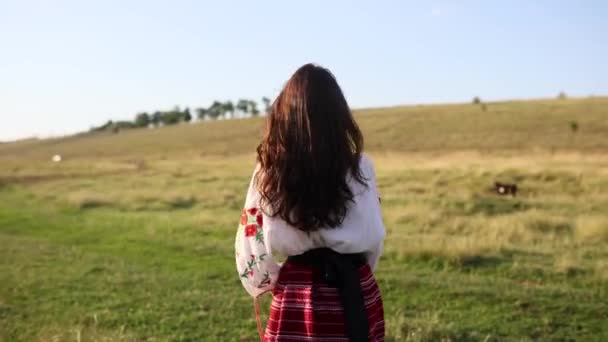 Украинская Игривая Женщина Ходит Лугу Оглядывается Назад Поворачивается Традиционной Национальной — стоковое видео