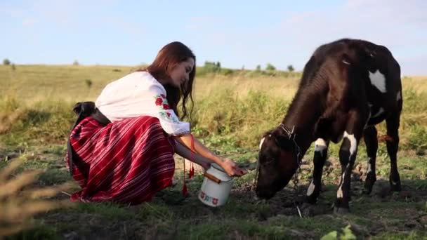 Young Ukrainian Woman Waters Calf Water Can Dressed Traditional National — Vídeos de Stock