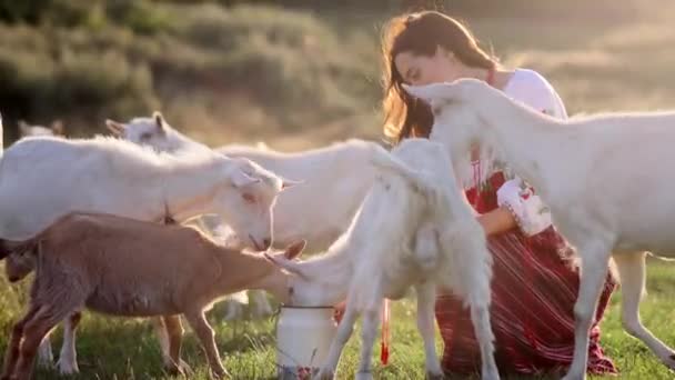 Young Ukrainian Woman Waters Goats Water Can Traditional National Embroidered — Stock video