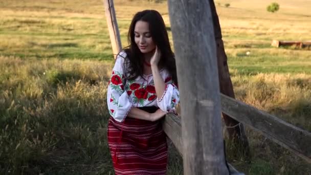 Young Ukrainian Smiling Woman Stands Dressed Traditional National Embroidered Shirt — Stock video
