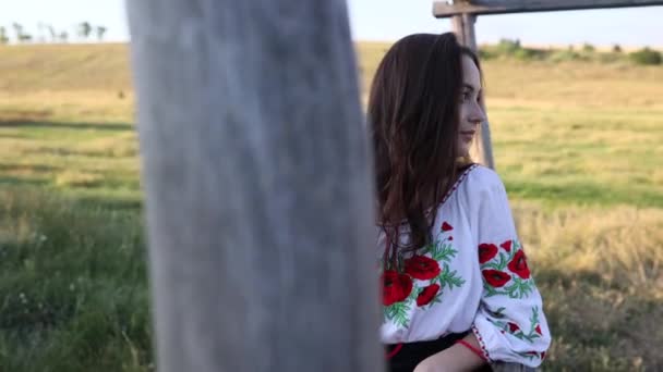 Young Ukrainian Woman Stands Dressed Traditional National Embroidered Shirt Skirt — Wideo stockowe