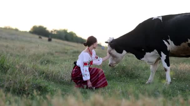 Young Ukrainian Woman Sits Traditional National Embroidered Shirt Skirt Grazing — Stockvideo