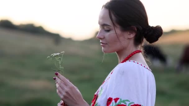 Young Ukrainian Woman Stands Meadow Traditional National Embroidered Shirt Necklace — Video Stock