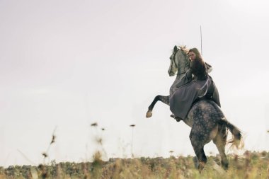Antik süvari savaşçısı suretinde genç bir kadın elinde kılıçla gri ata biner ve çayırda gökyüzünün arka planına yaslanır. Boşluğu kopyala.