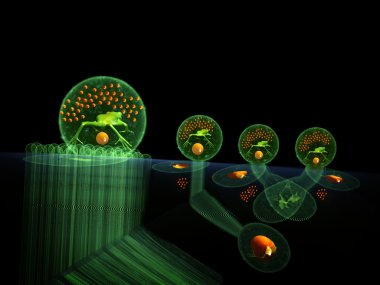 metamorfoz vertebra mavi