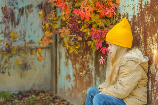 Een verdrietig boos klein meisje zit in de herfst op straat tegen de achtergrond van een afschilferende muur getwijnd met wilde druiven met heldere, kleurrijke, bordeaux, rode, gele bladeren — Stockfoto