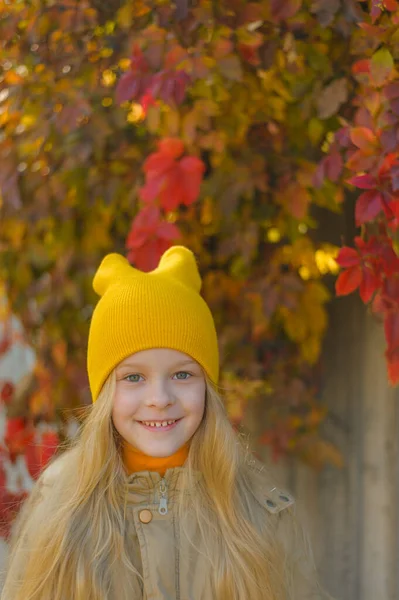 Retrato vertical de una hermosa niña rubia sonriente con el pelo largo y fluido en un sombrero amarillo sobre un fondo de hojas de vid coloridas —  Fotos de Stock