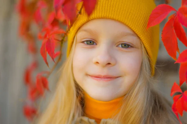 Porträtt av en leende vacker liten blond flicka med långa flödande hår i en gul hatt mot en bakgrund av färgglada vinblad — Stockfoto