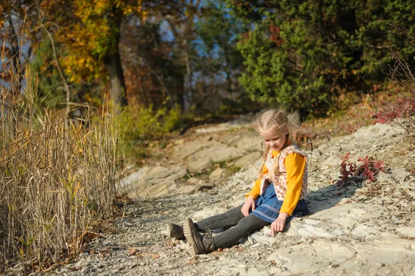 Klein meisje spelen met stenen op een herfst rotsachtige weide. peuter kind zit op de grond op een heldere zonnige herfstdag in het bos — Stockfoto